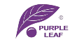 Purple Leaf